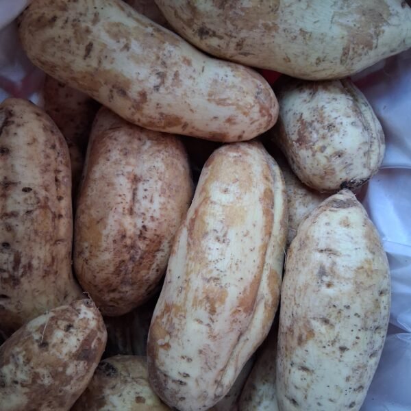 Patates Douces