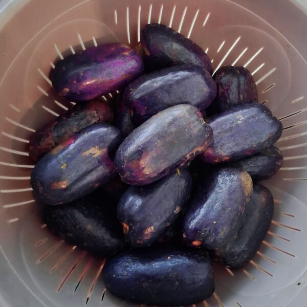 Prune